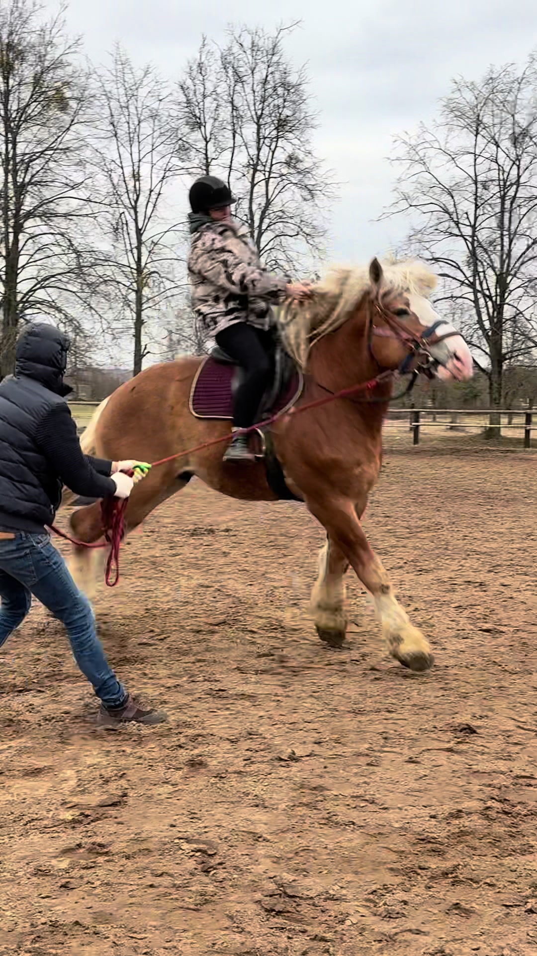 @КК "Фриз"🏇