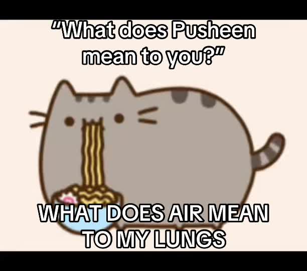 @(>.<)