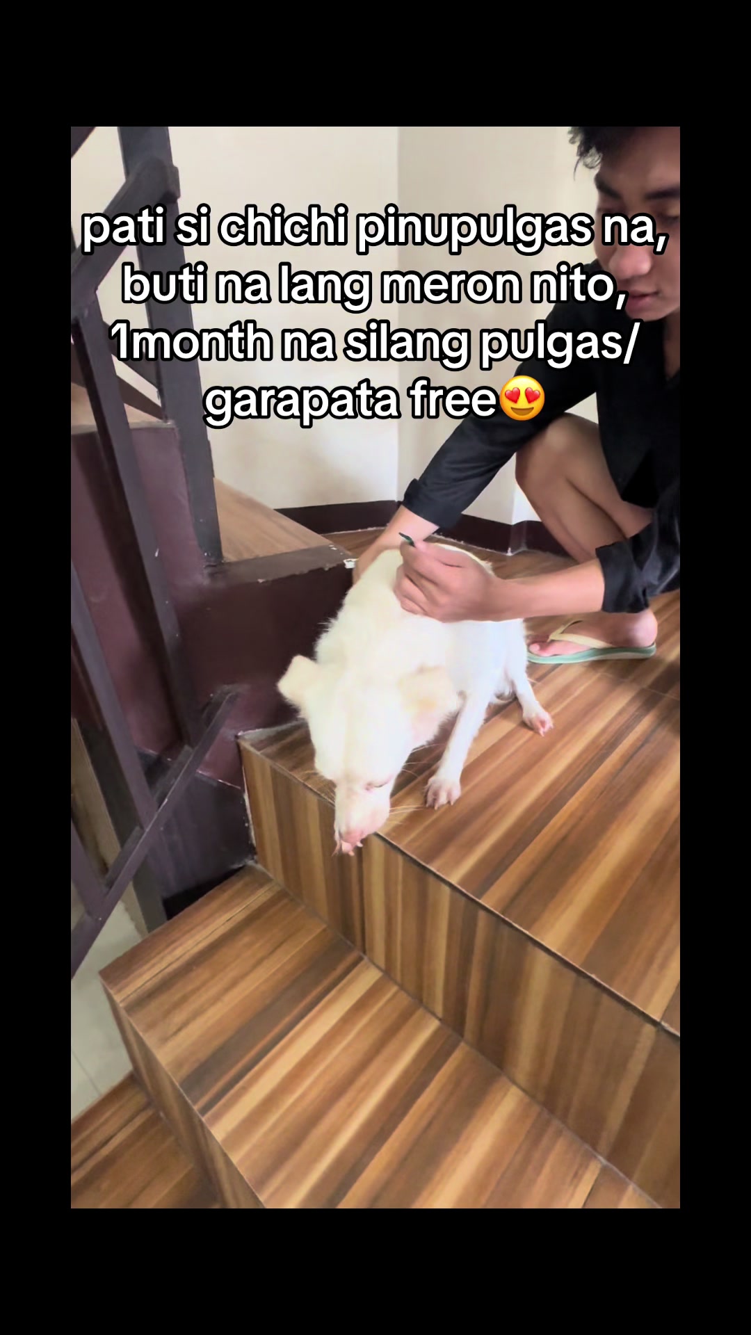 @ms. marj b