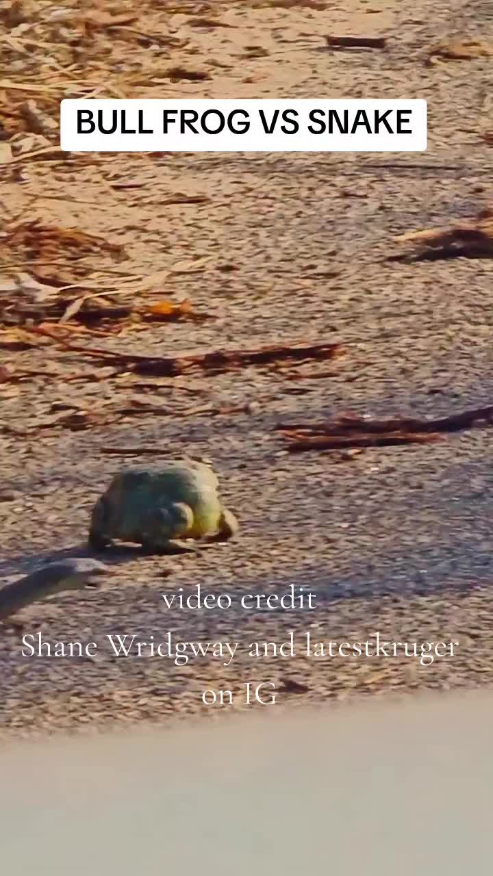 @just-random-stuff