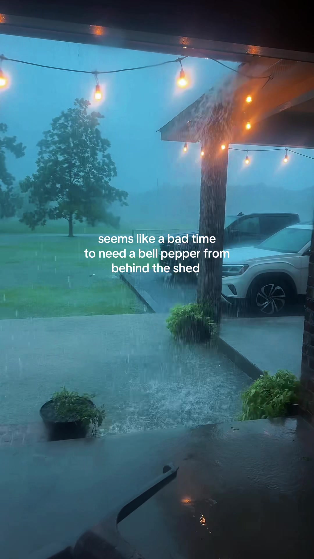 @reba