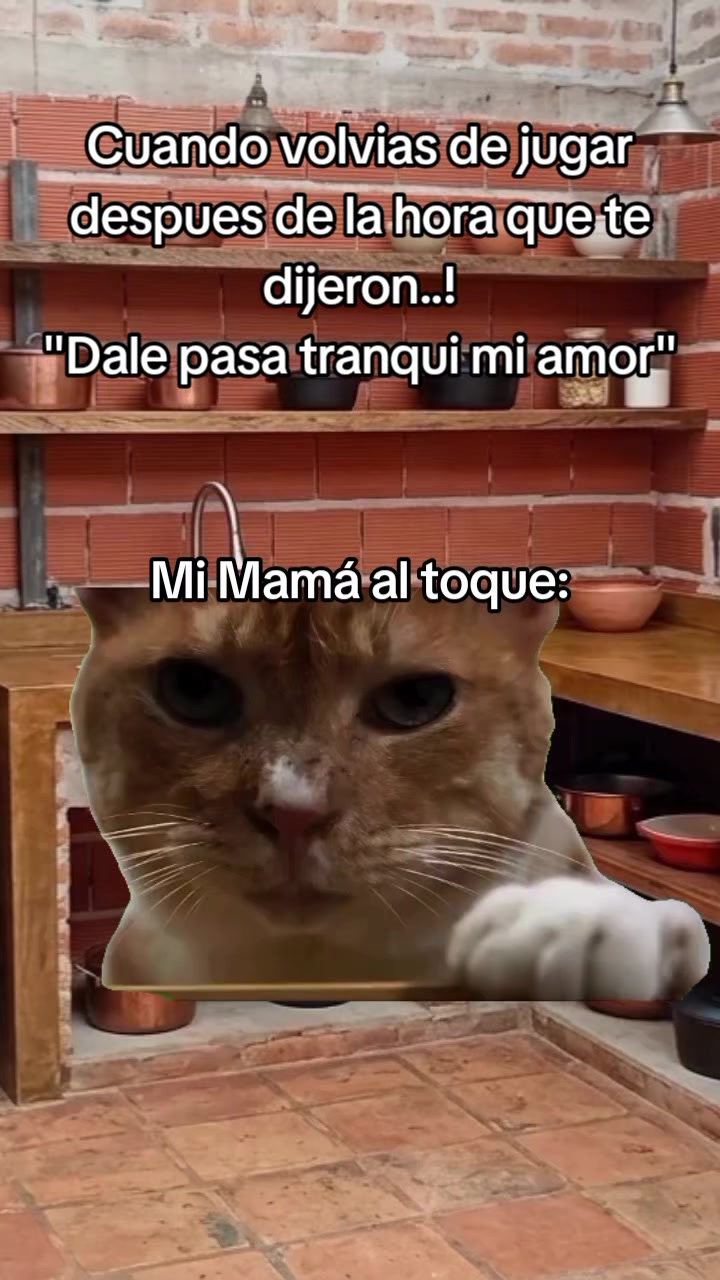 @Fer Rojas