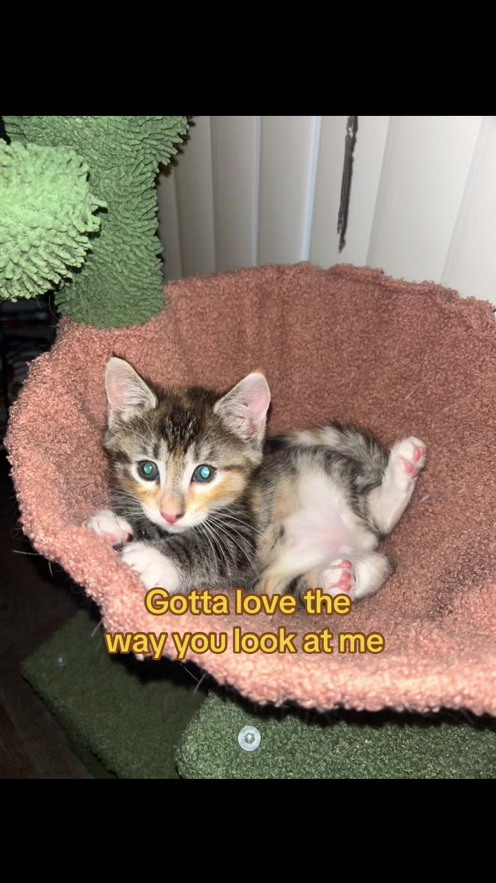 @Houseofpets