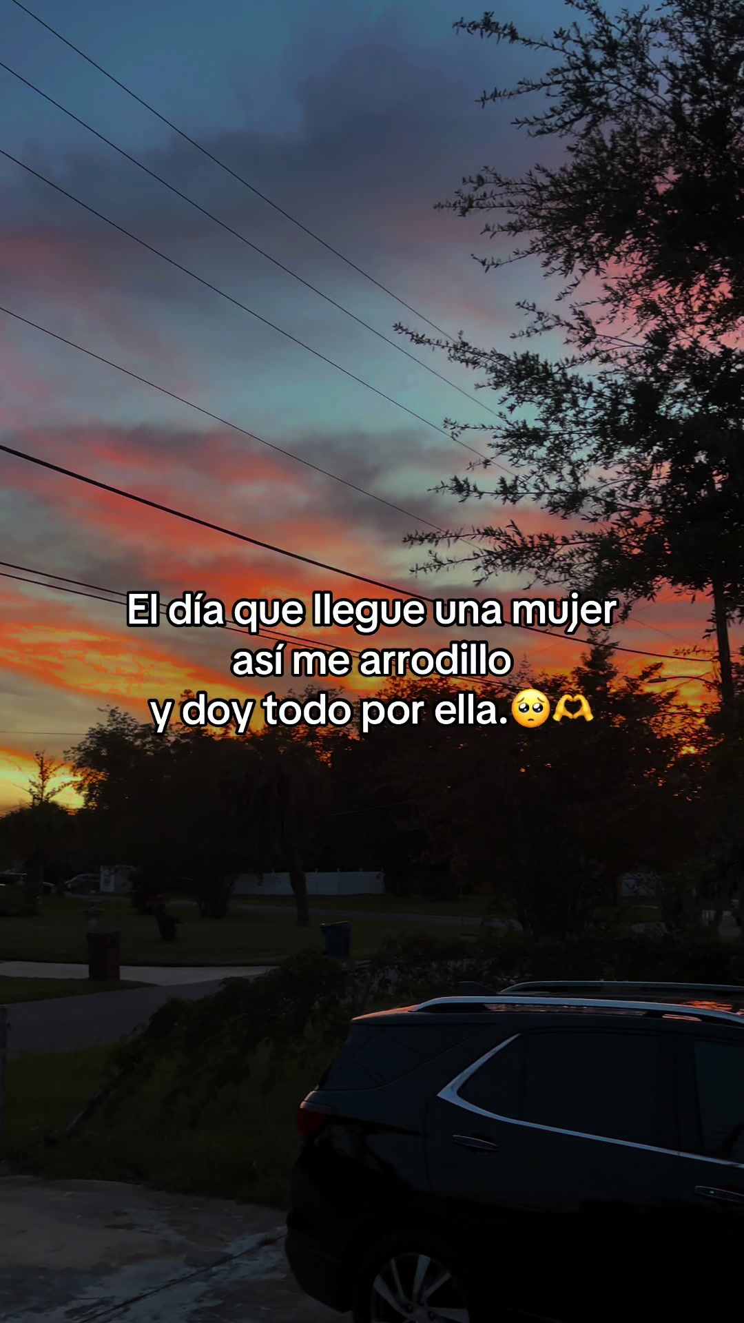@️ NELFI__V❤️🩹)”