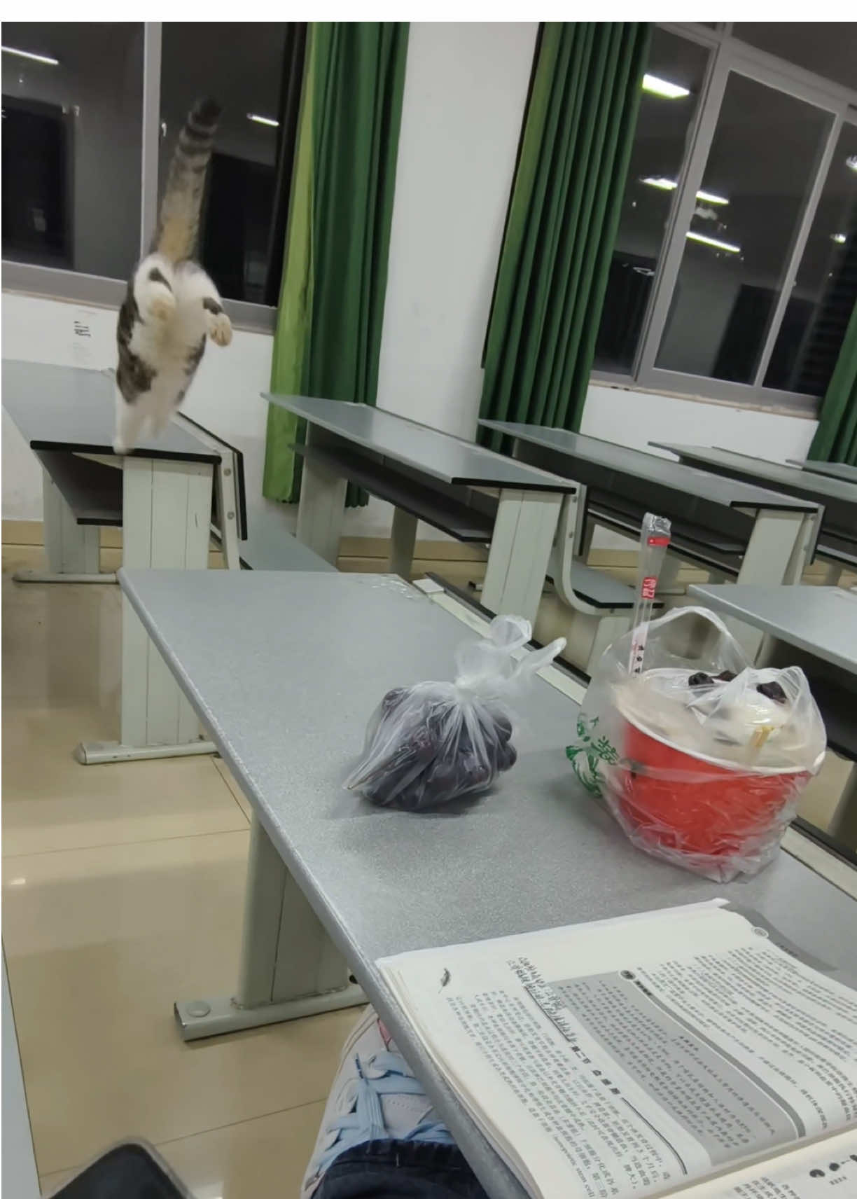 @Pet World Hub