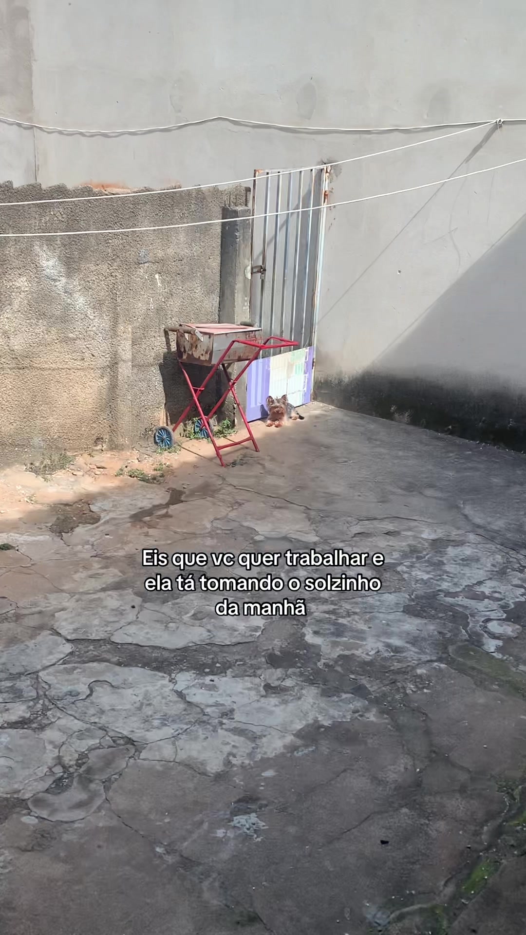 @layse Miranda 🛸