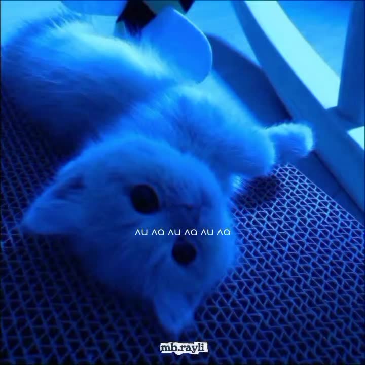 @ᴍʙ.ʀᴀʏʟɪ