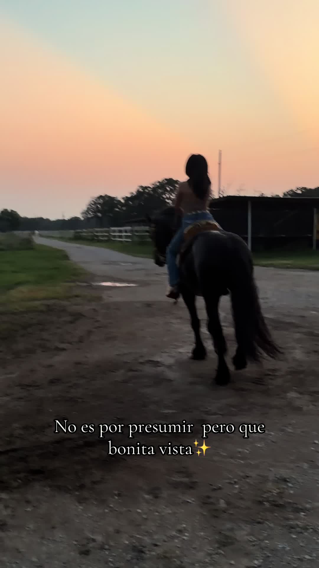 @Verónica Torres