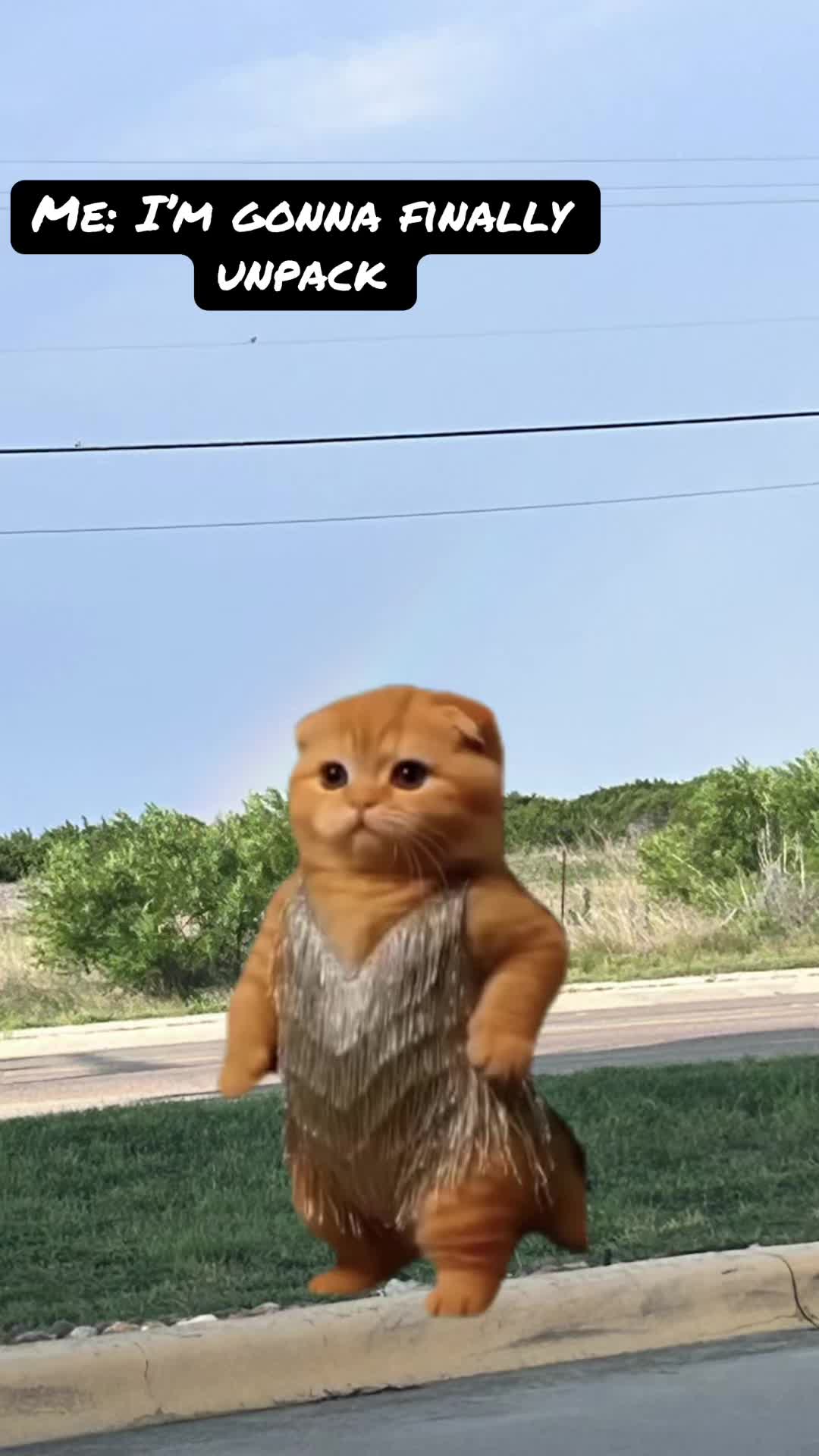 @Briana🌻🌻