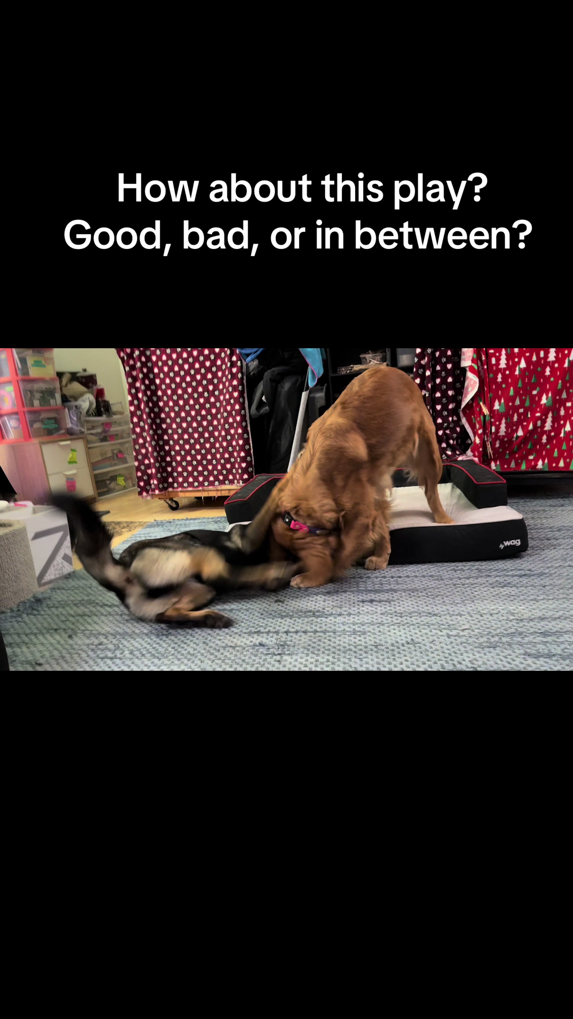 @FlexiblePetSolutions