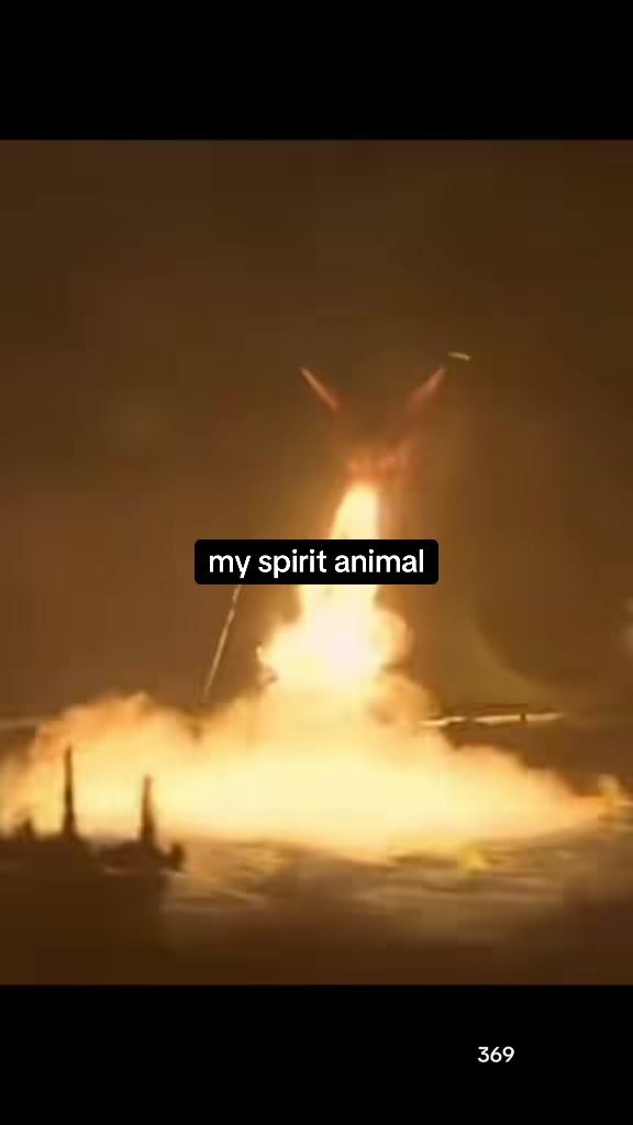 @The Draconic Priestess 🐉