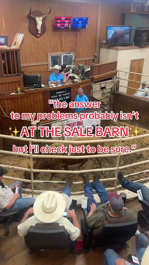 @Cattlemen’s Livestock Market
