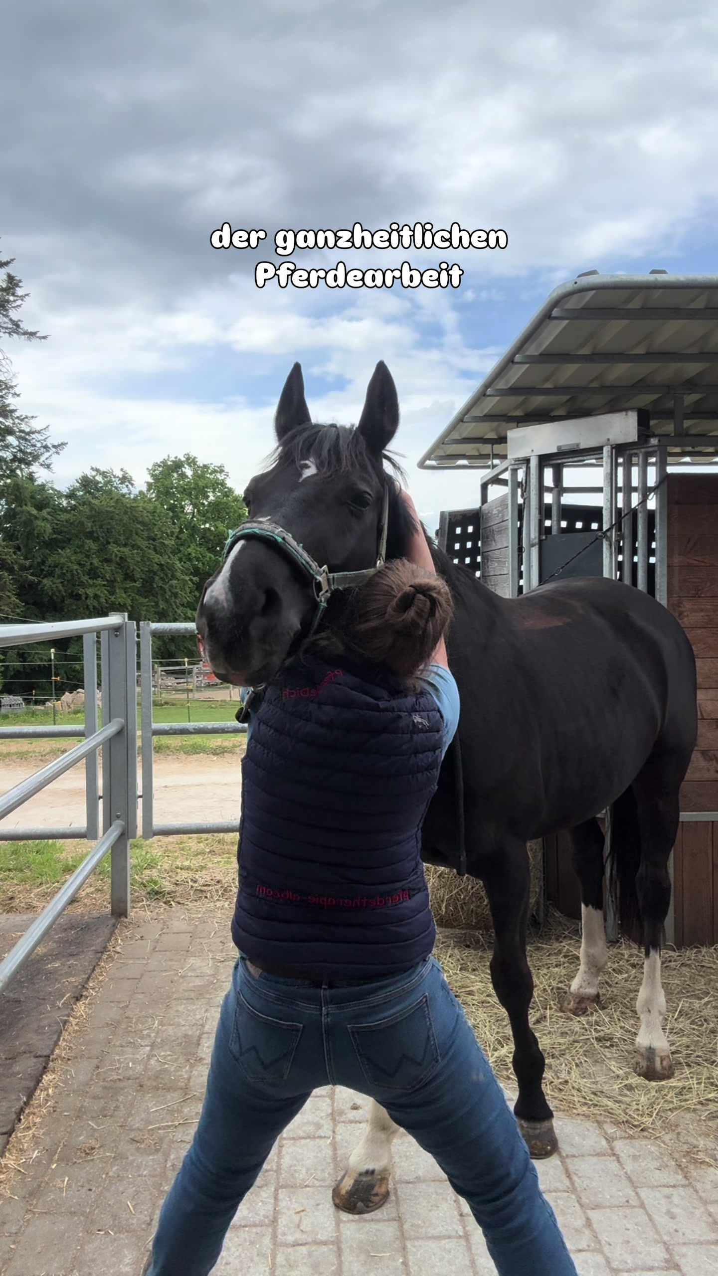 @equine_body_in_balance