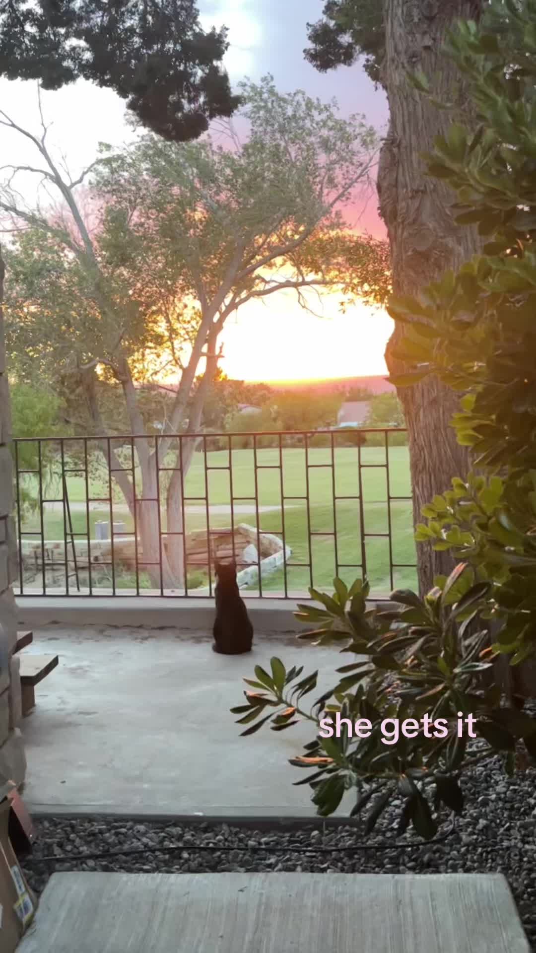 @😝
