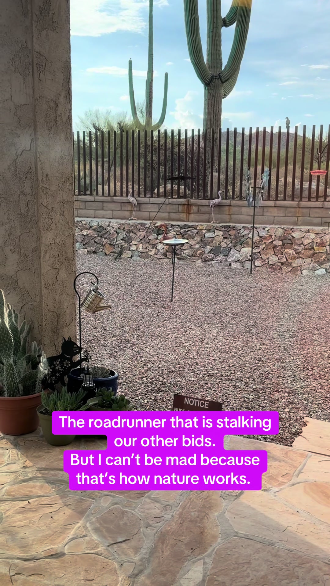 @desertgirly14