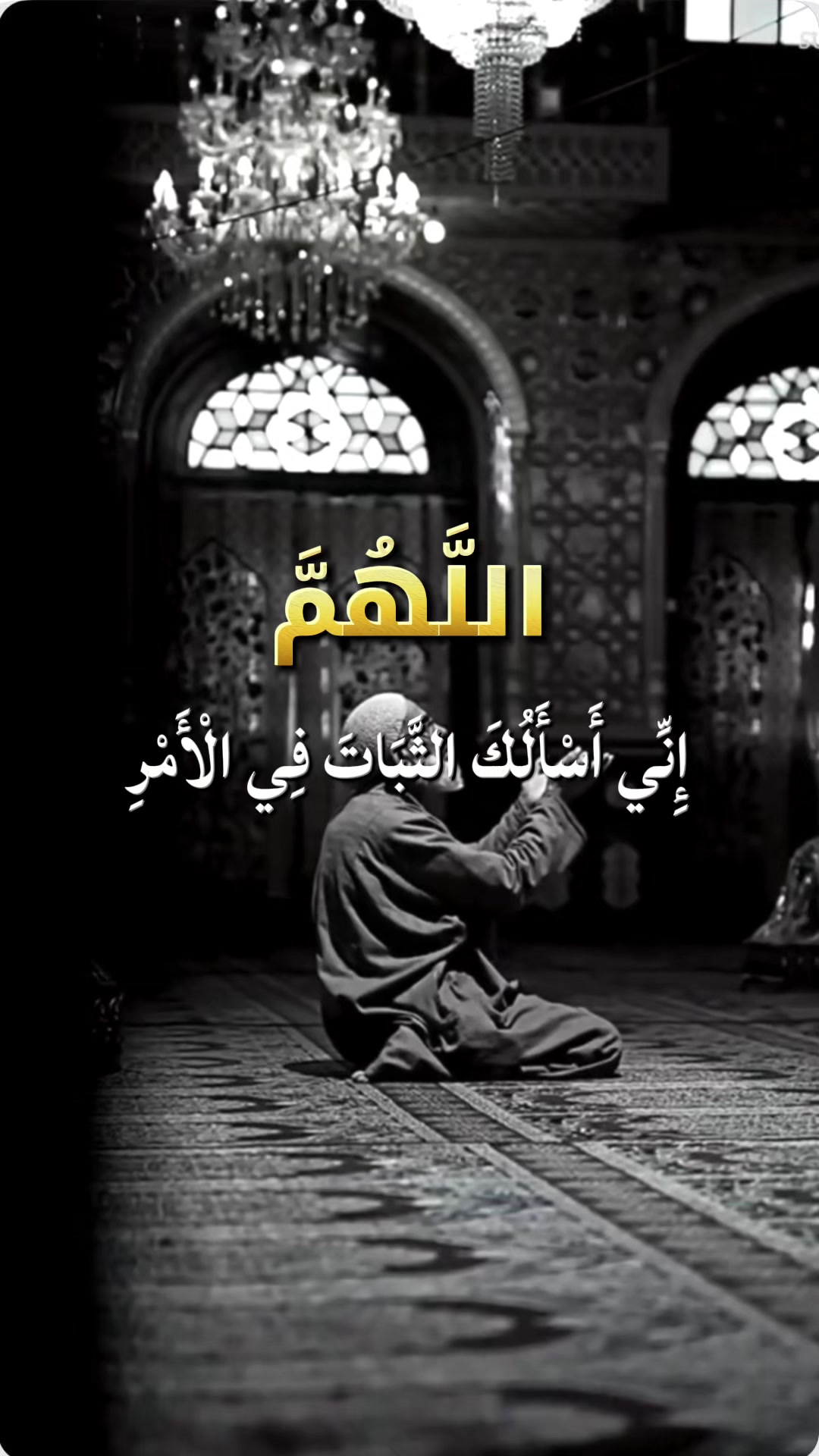 @القرآن الكريم || Quran Kareem