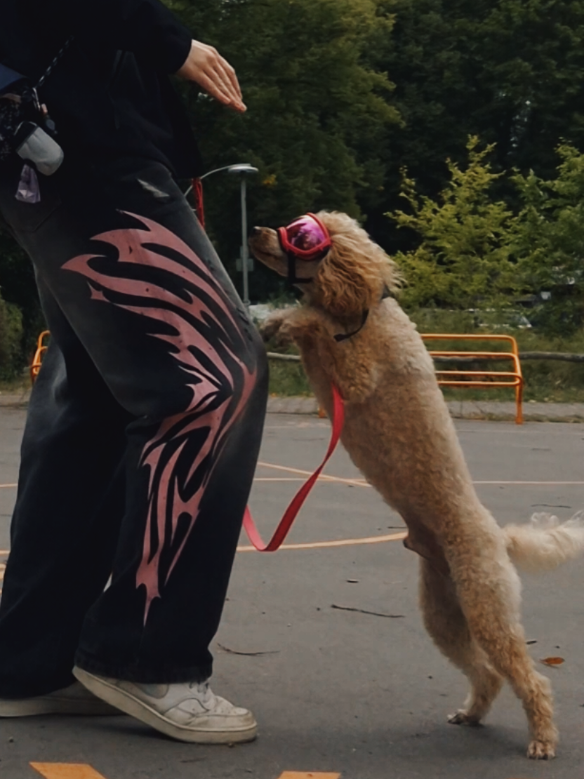 @💞🐾🐩