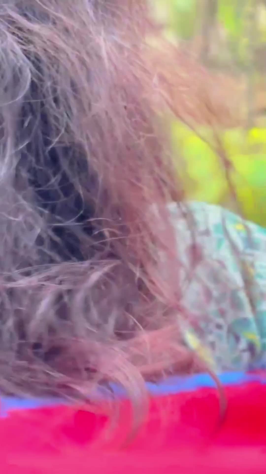 @sabina kadayat