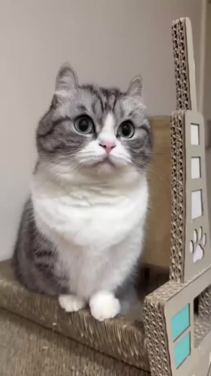 @KomaruSalt_AB