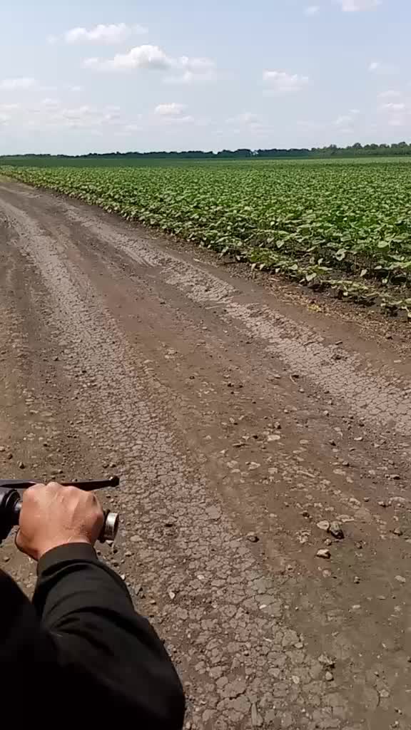 @вечно молодий