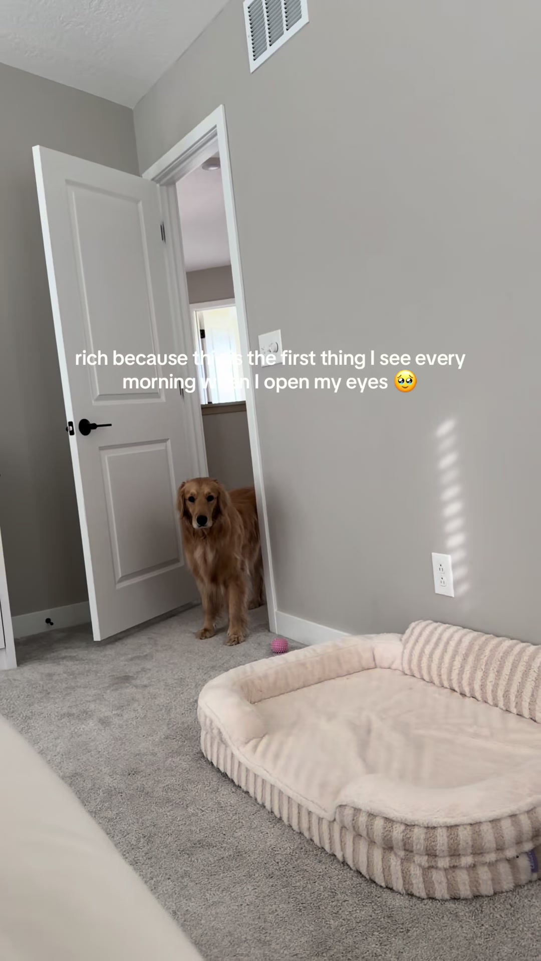 @novathegoldenn