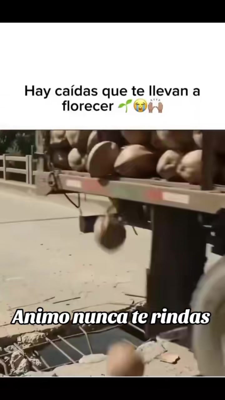 @Veronica Reyes