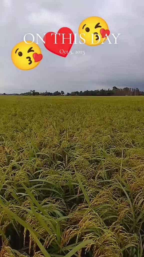 @𝓜𝔂 𝓵𝓲𝓯𝓮 𝓜𝔂 𝓑𝓪𝓬𝓱𝓪