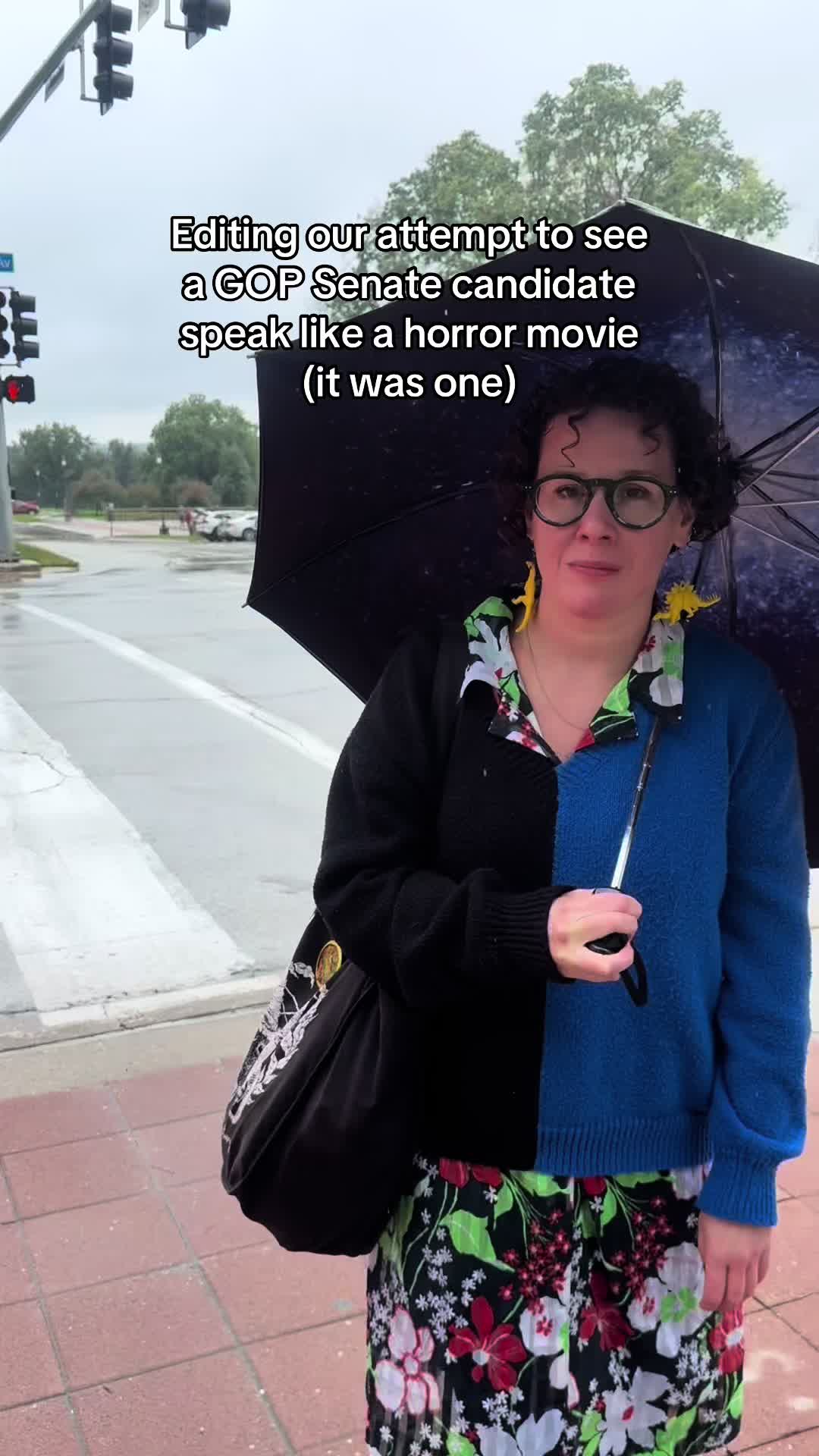 @LizFromIowa