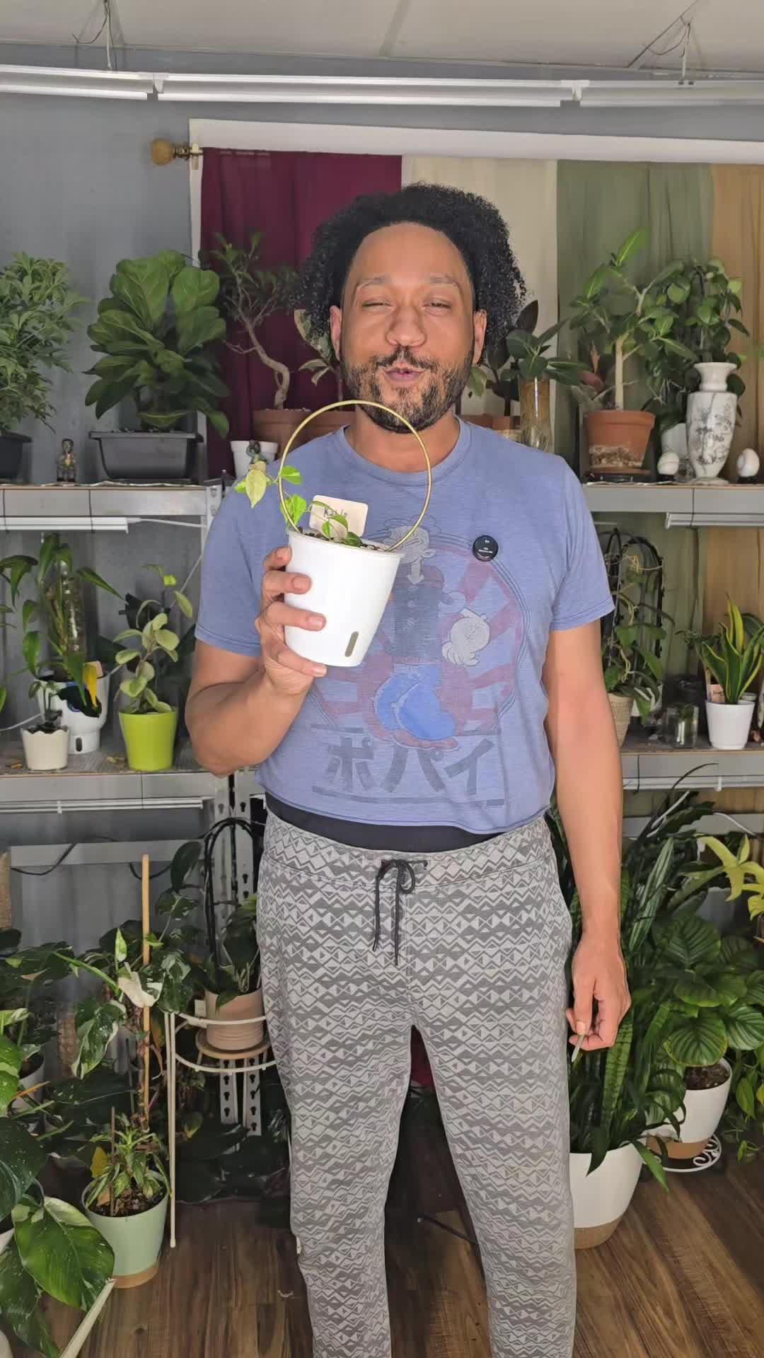 @JT - BigEGOPlants