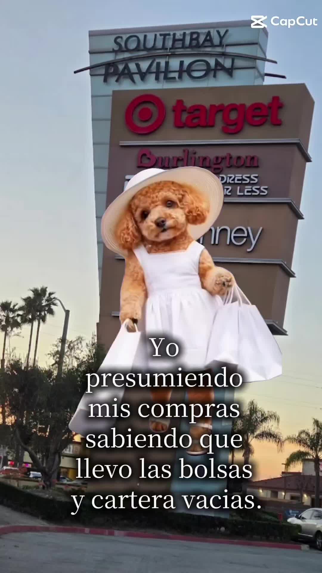 @Kora