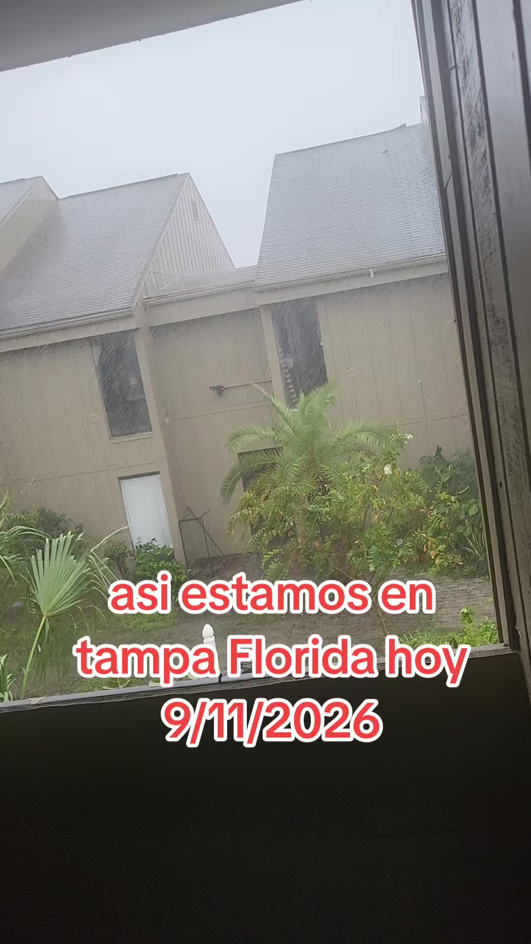@Manuel❤️ceci