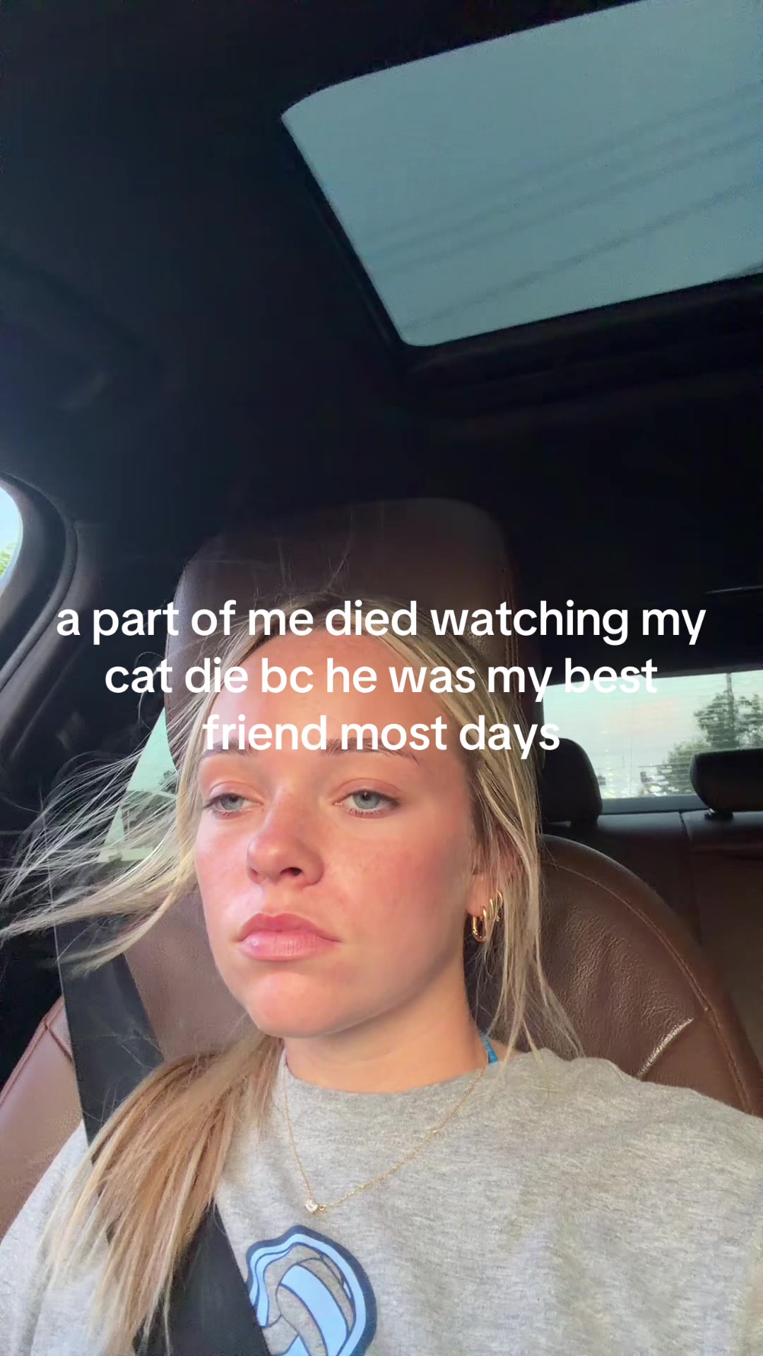 @hi