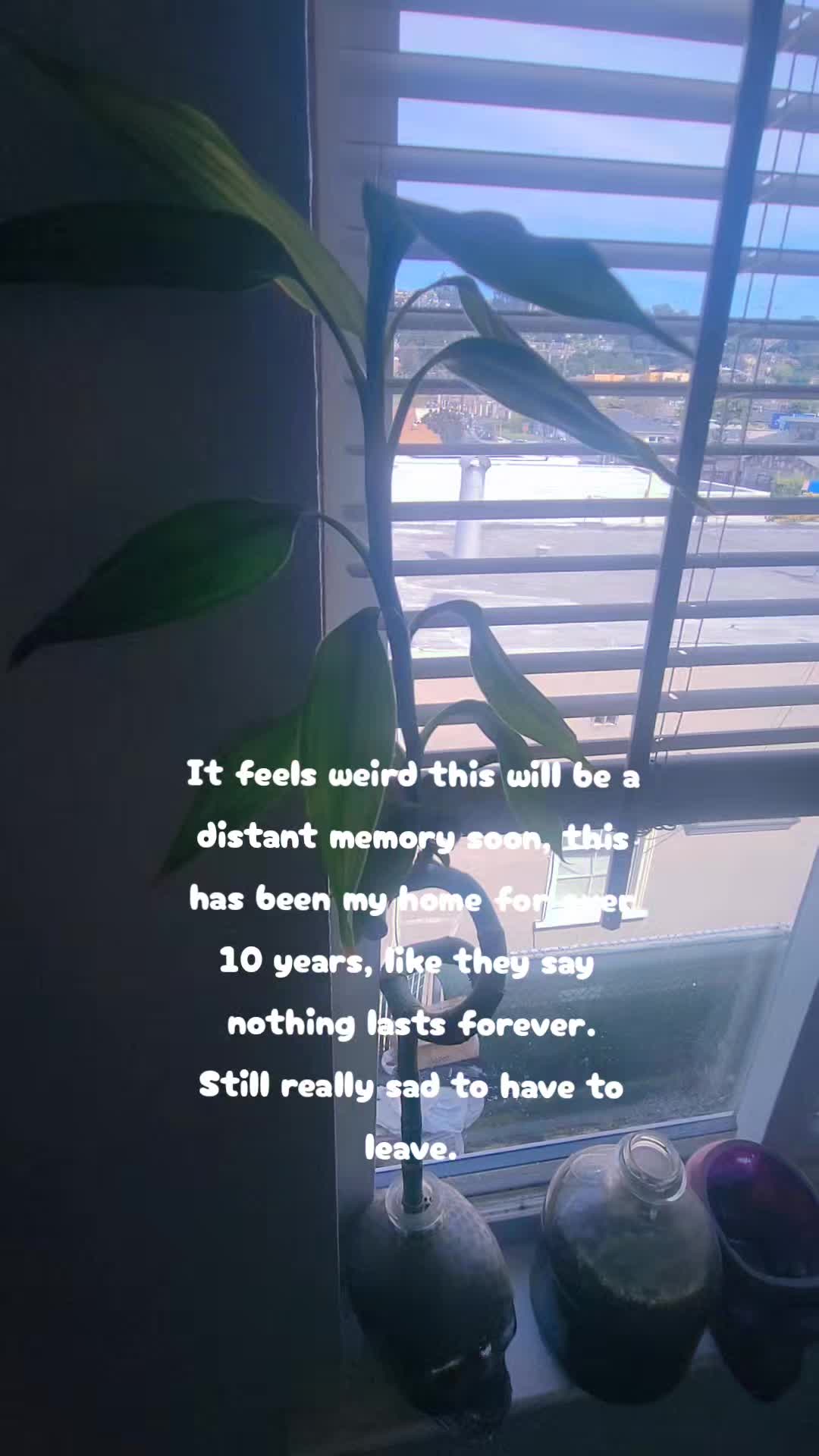 @QueerMama