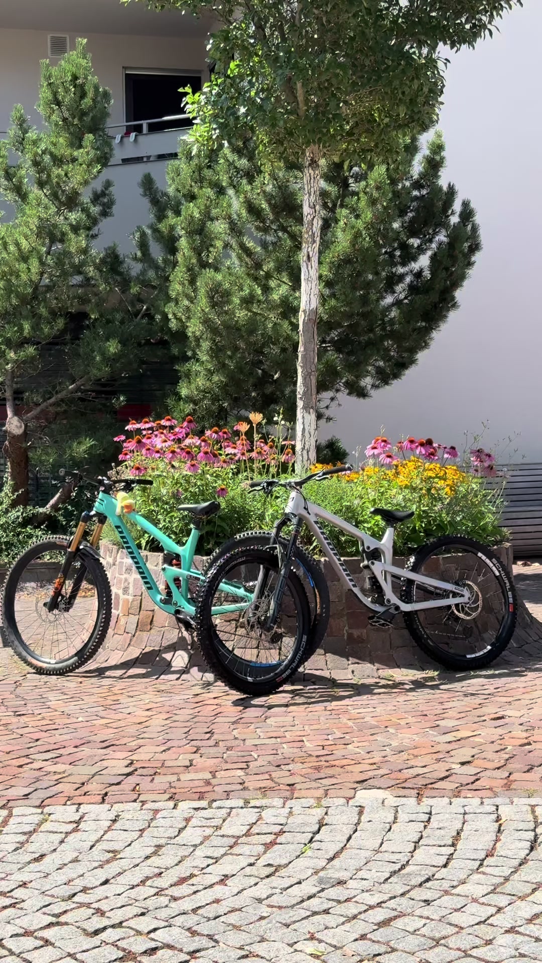 @Freeride.Teejay🇩🇪