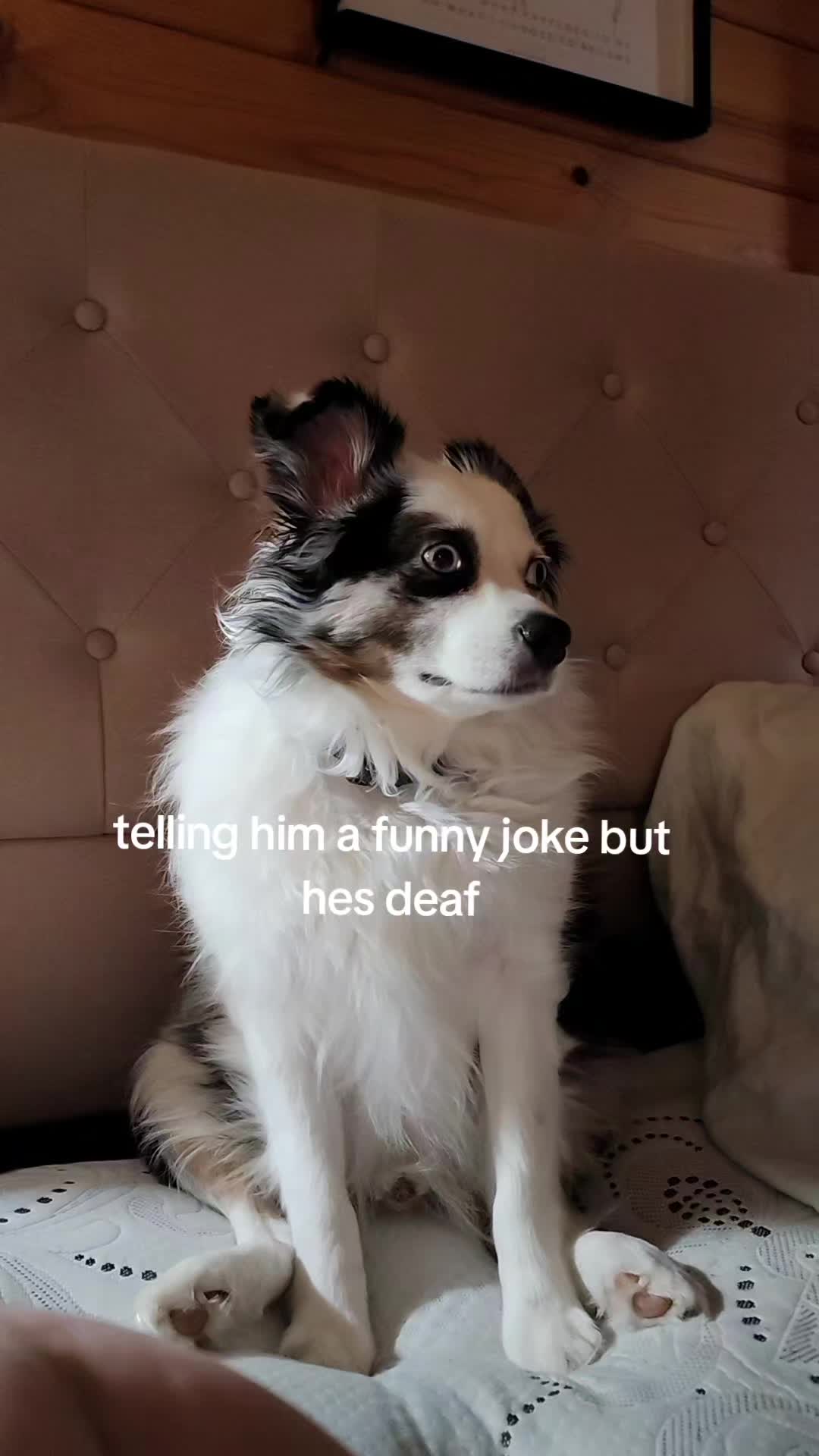 @mrpuddles