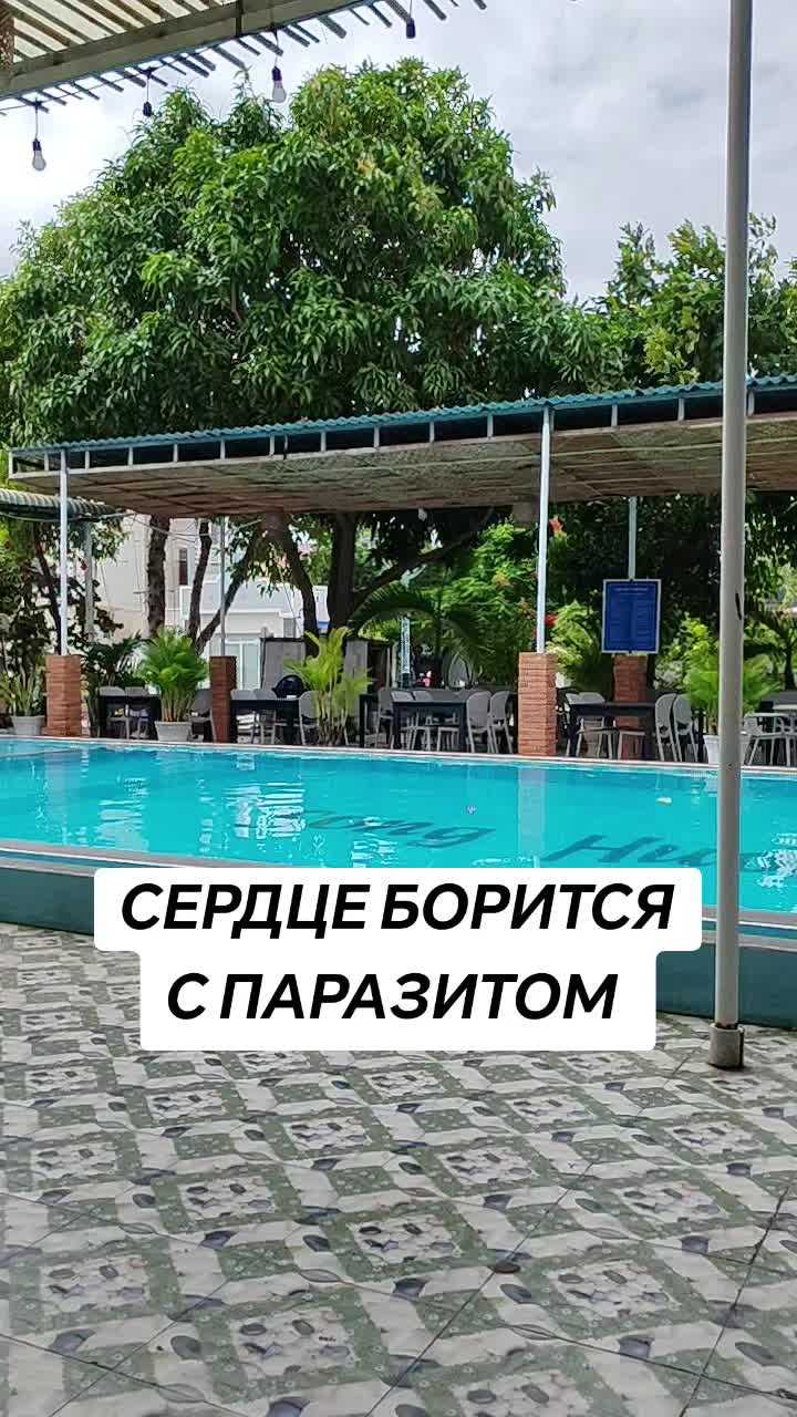 @живу не зря