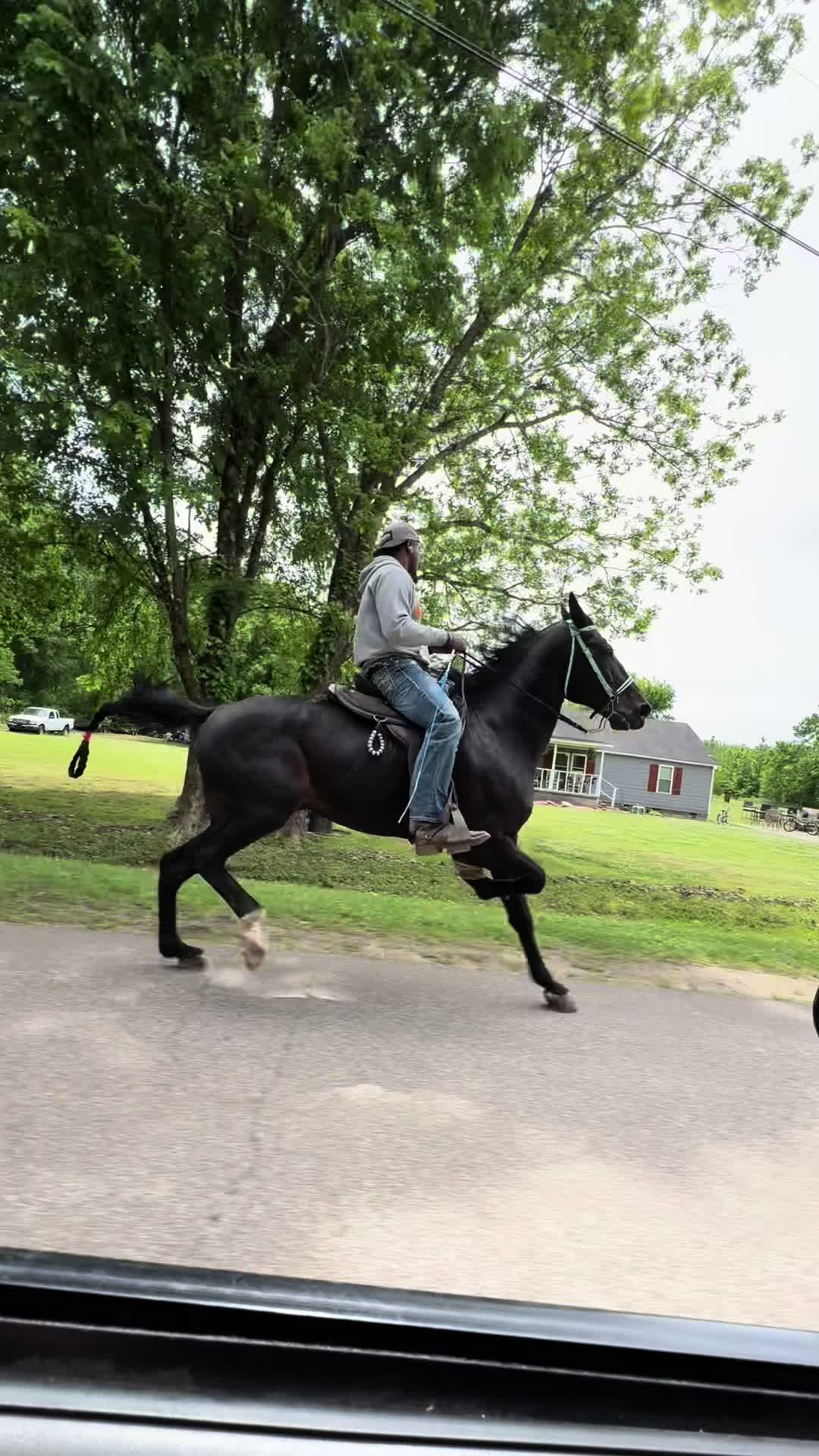 @TSmoov🐴 💰