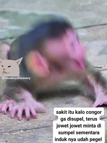 @babah zikri