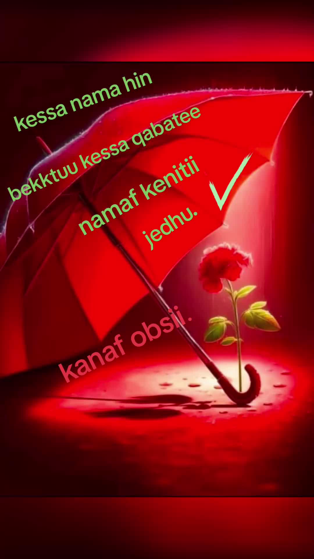 @waan ofii 667🦋❤️&zwj;🔥👉🌲✅️🌹