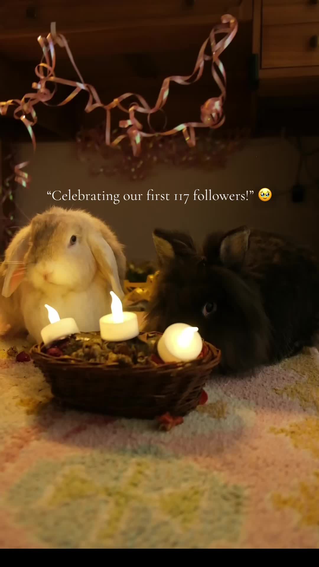 @Buns 🐰🐰
