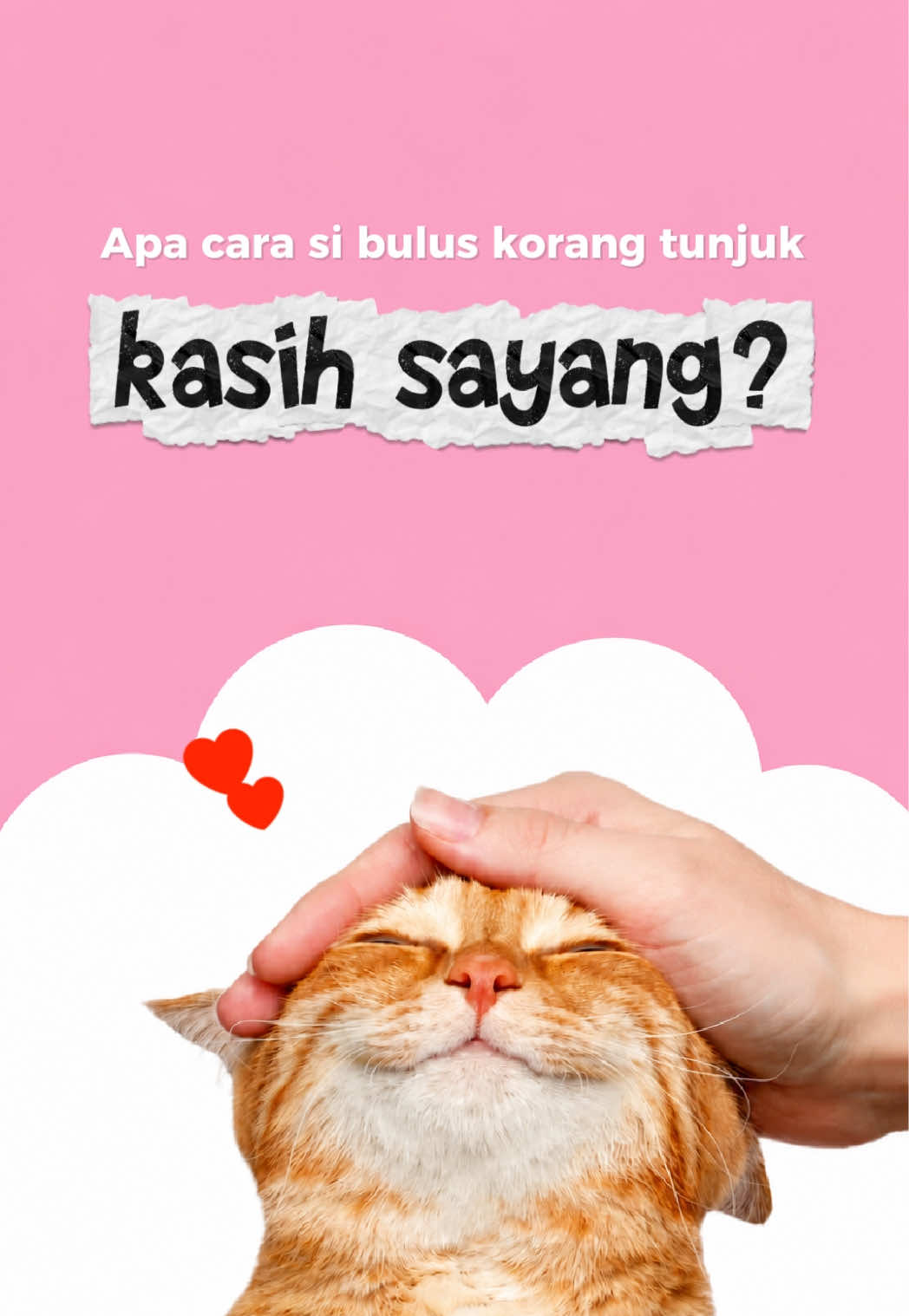 @Powercat Official