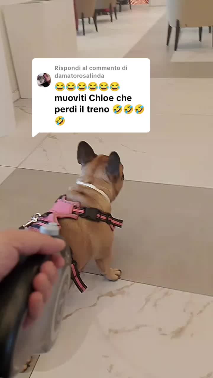 @BIRILLO/CHLOE