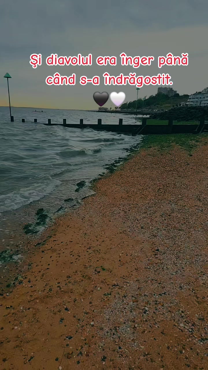@MadalinaDiana🤩