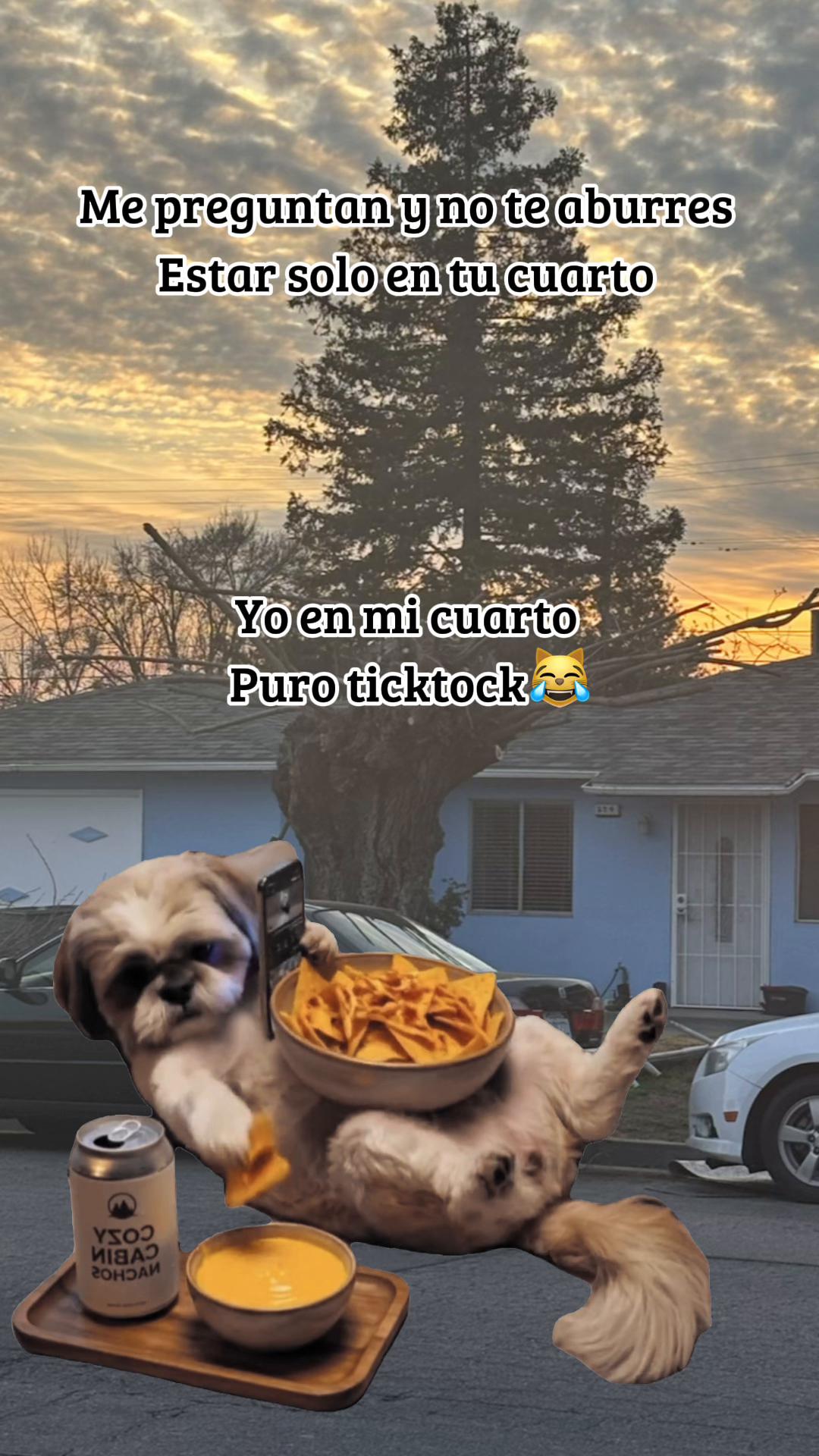 @TONY MACHADO 🐐