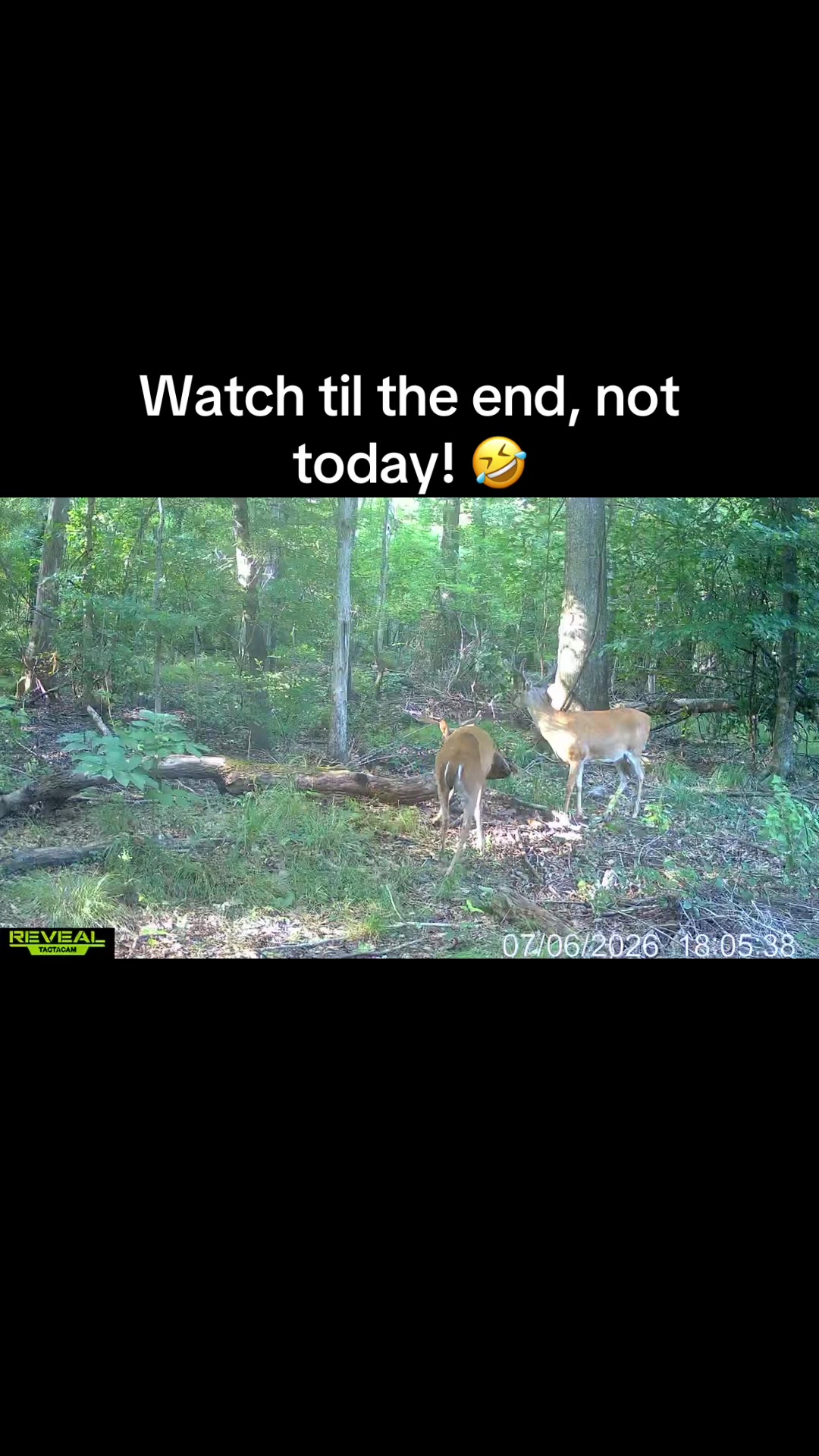 @Toi Batton_GIGI_WTBuckOutdoors