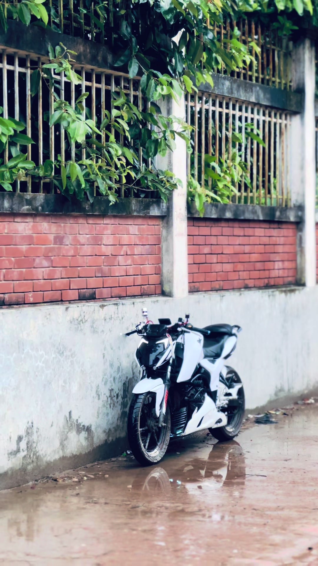 @𝙷𝚢𝚙𝚎𝚛𝟼𝟿🐍