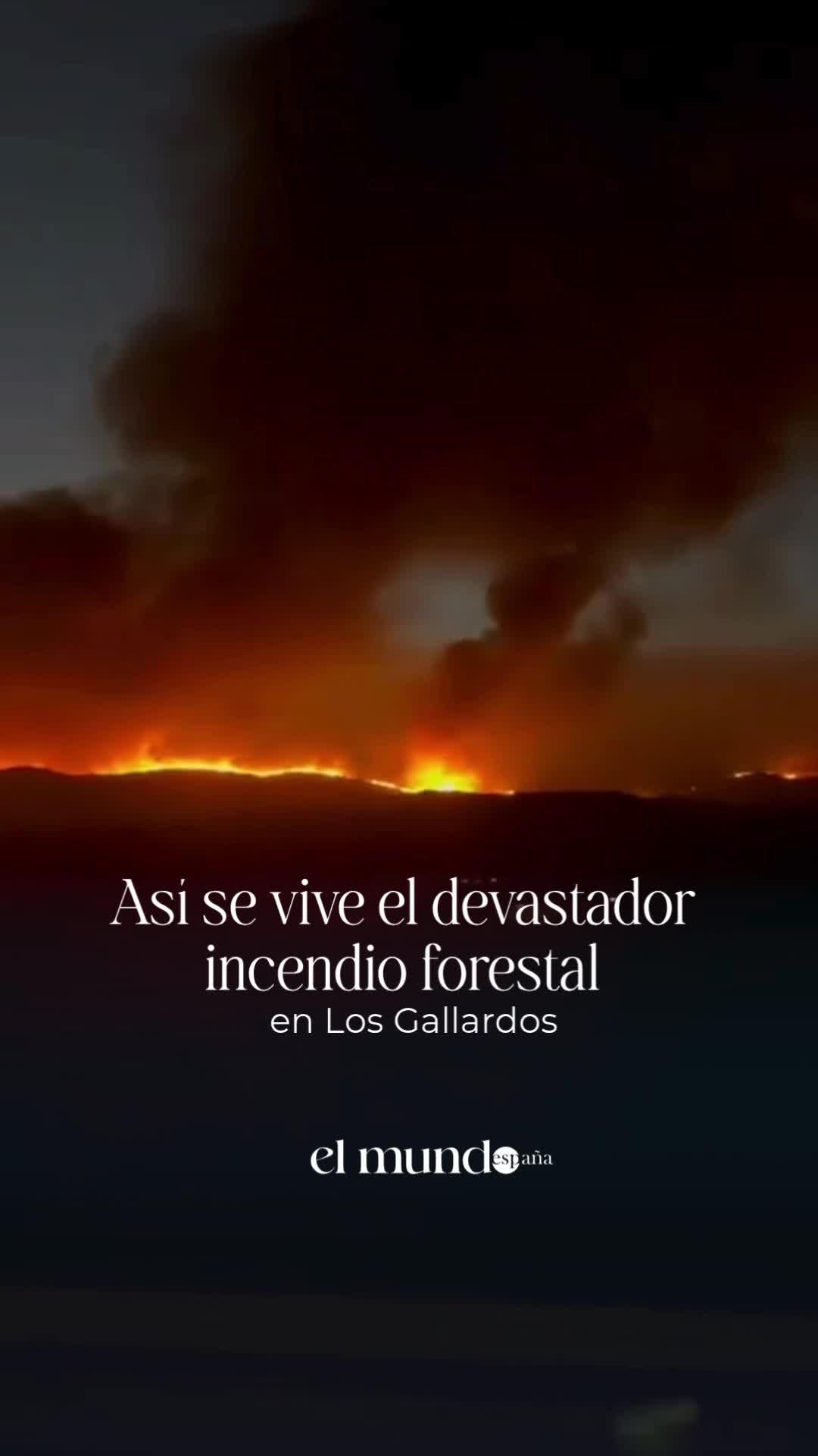 @El Mundo España