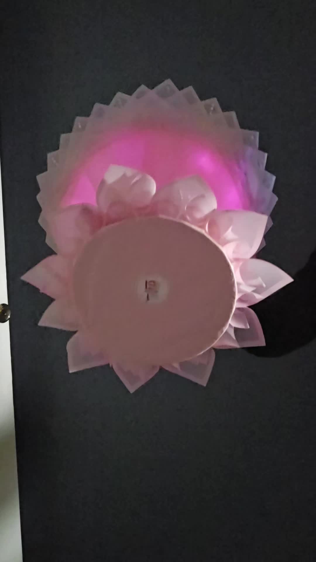 @ISA rosas eternas 🌺
