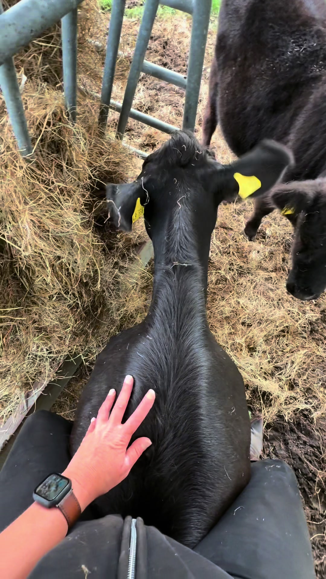@♥️My little Ranch♥️