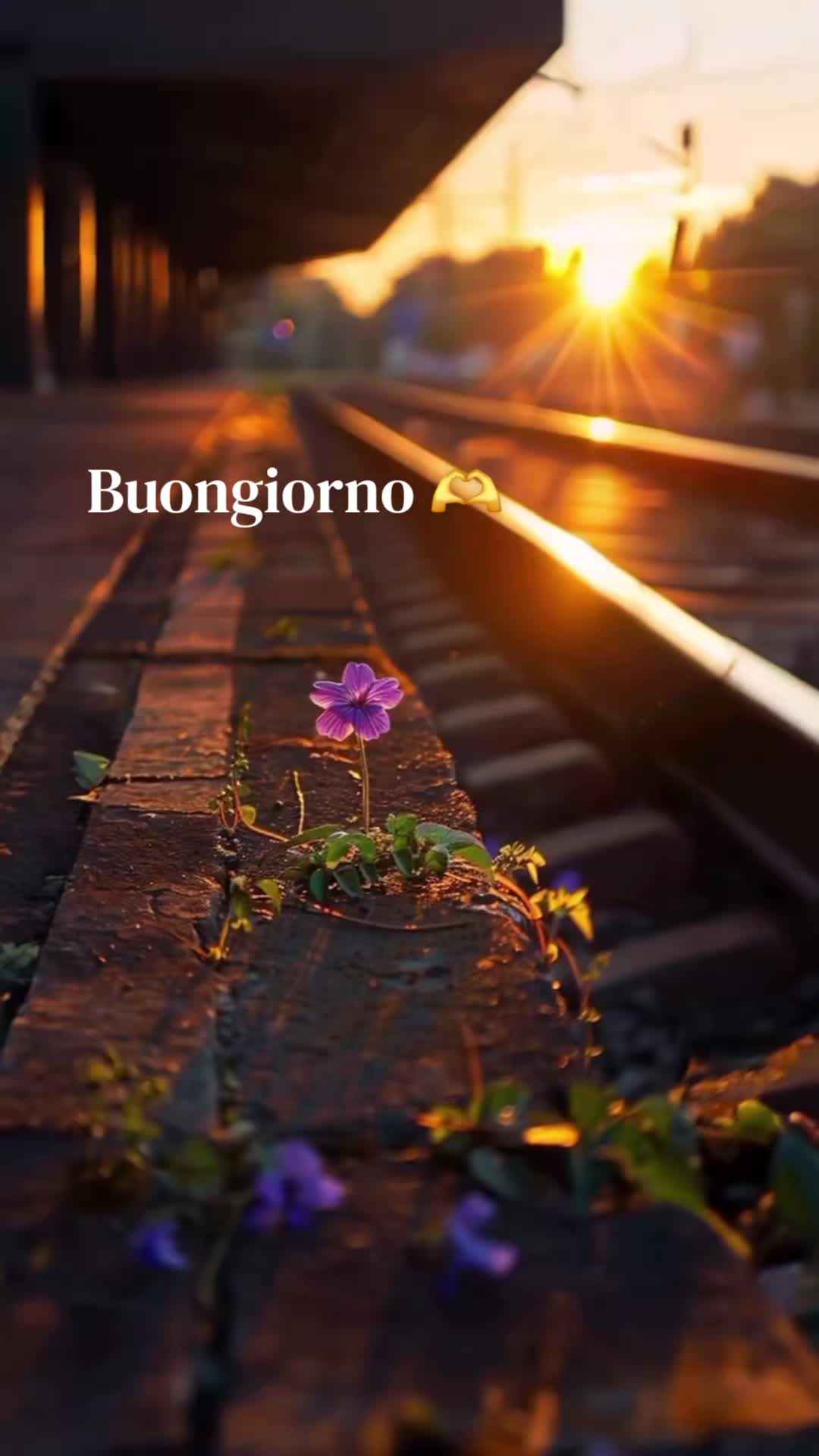 @Rosy73